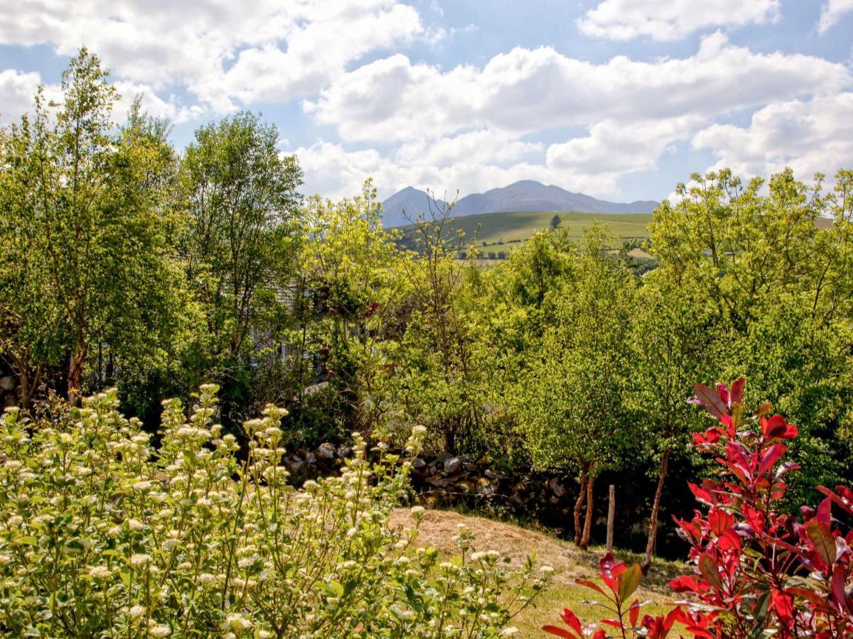 Silver Birch House Laune Bridge ภายนอก รูปภาพ